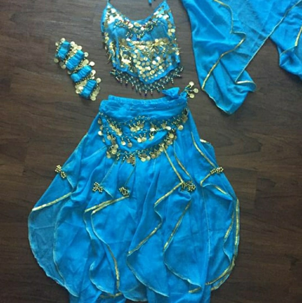 Belly Dancer/Gypsy Halloween Costume